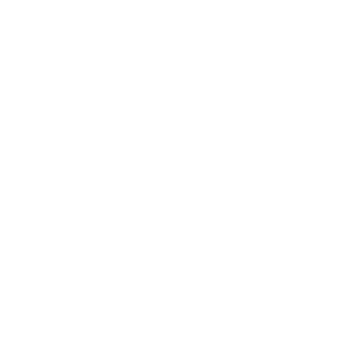 France 2030 Badge